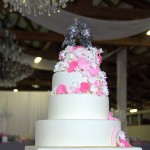 IMG_9378