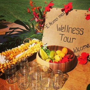 Wellness Tour